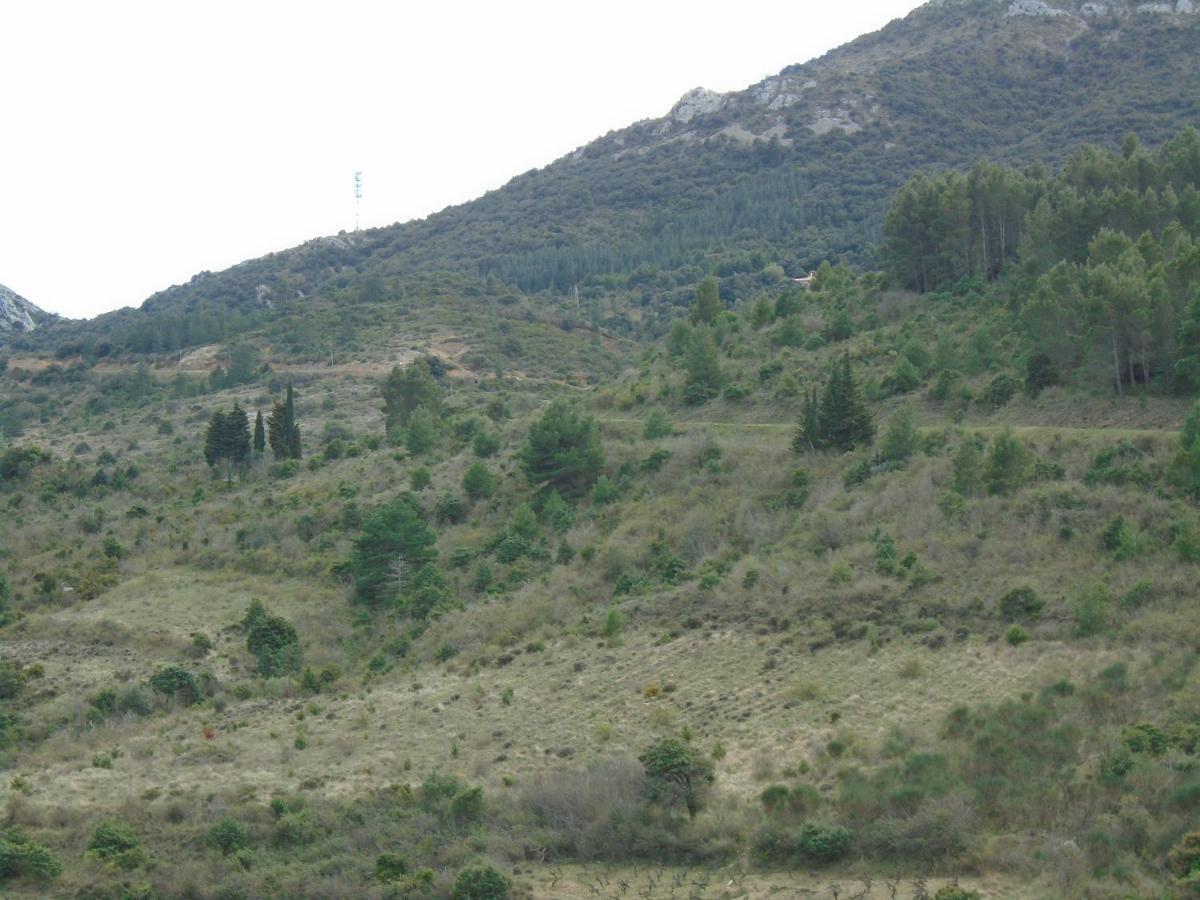 Gite La Tramontane Vila Cucugnan Exterior foto